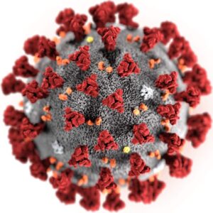 Read more about the article 11 Natural ways to fight and prevent Coronavirus