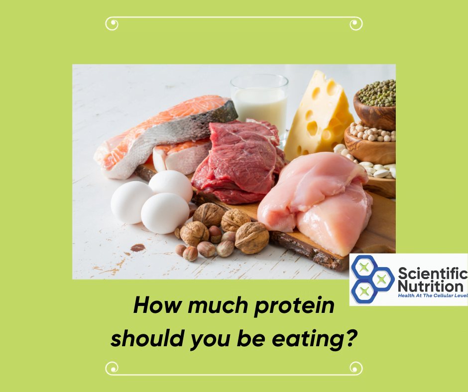 You are currently viewing How much protein should you eat in a day?