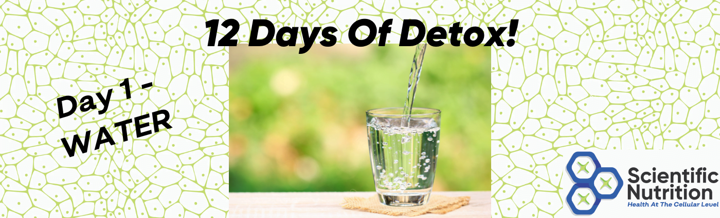 You are currently viewing Water is one of the best ways to detox!