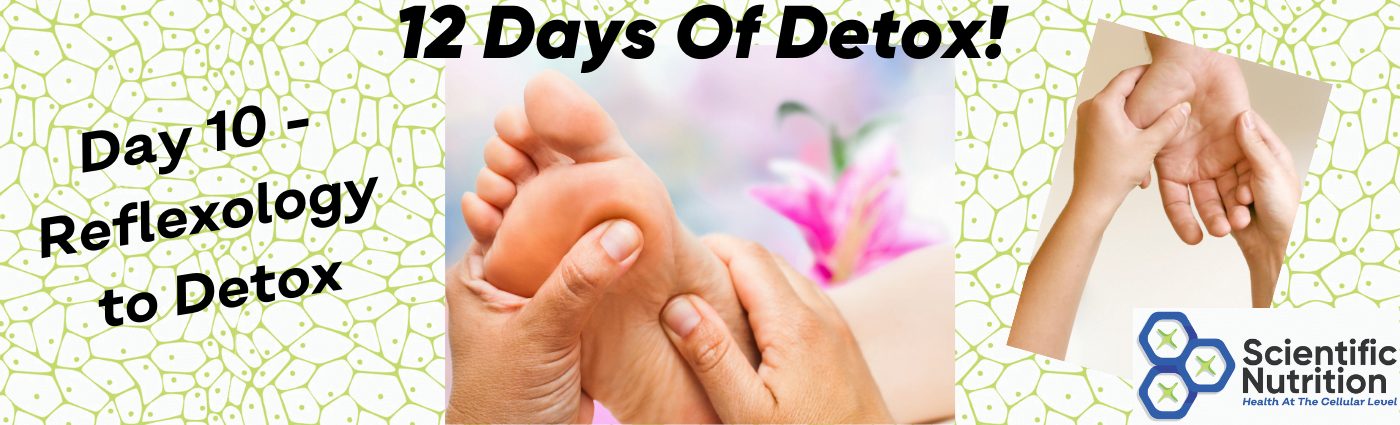 You are currently viewing The benefits of Reflexology can help you in your detox process!