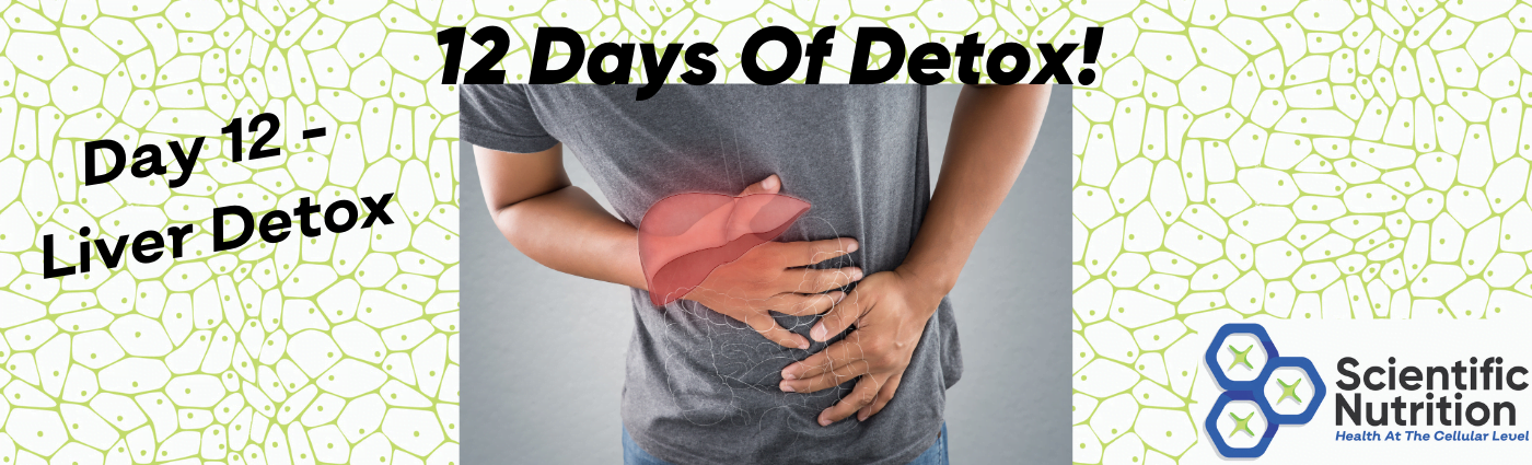 You are currently viewing Why is liver detox important and what are liver disease symptoms?