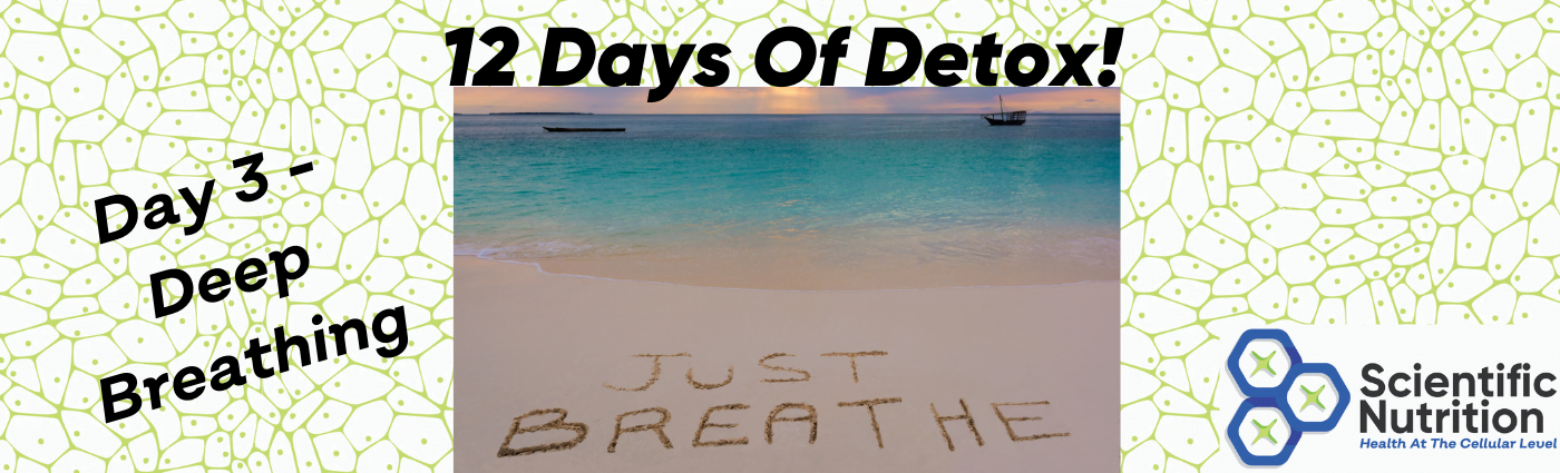 You are currently viewing 12 ways Deep Breathing can help you to detox and lower stress levels!