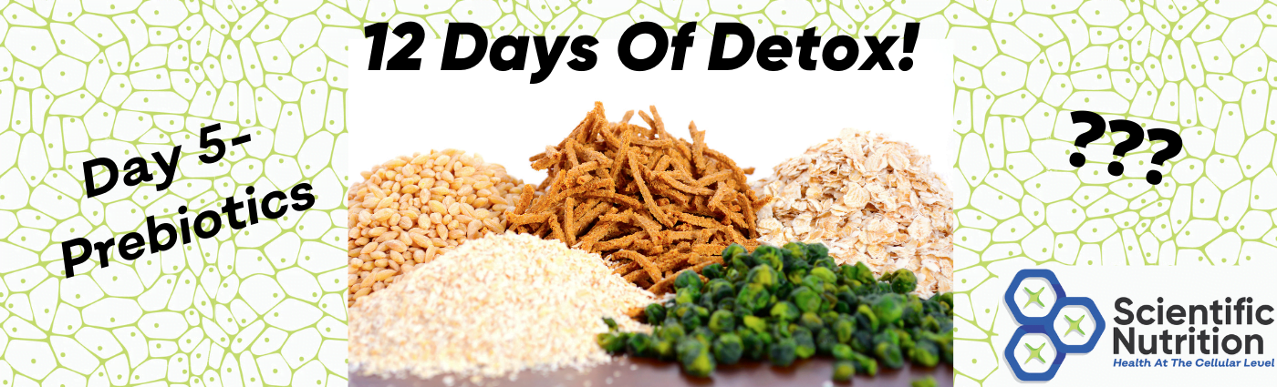 You are currently viewing Learn how prebiotics can help you to detox!