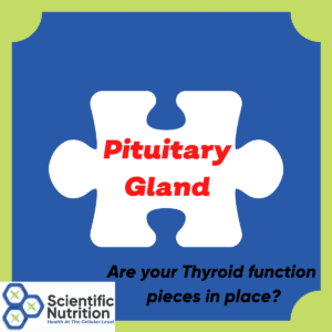 Your pituitary controls your thyroid functions.