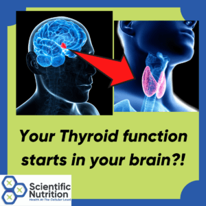 Read more about the article What if your TSH thyroid is normal but you have slow thyroid symptoms?