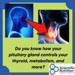 TSH starts in the pituitary gland to make thyroid hormones?