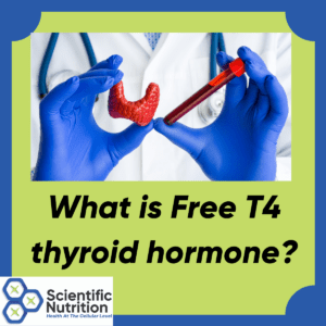 Read more about the article What is your Free T4 hormone and why should you care?
