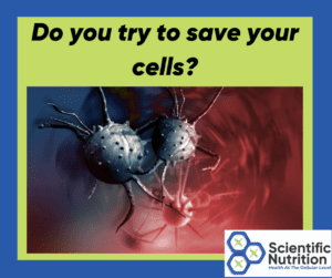 Read more about the article 5 ways to start cell regeneration and why?