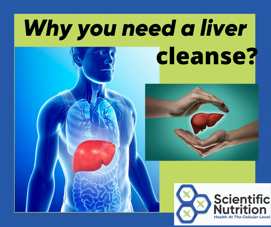 You are currently viewing Why is a liver cleanse good for weight loss and your health?