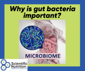 Read more about the article Why is your gut to brain connection important?