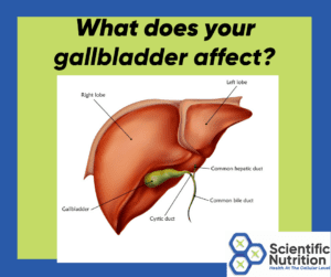 Read more about the article Do you ever know what the gallbladder does and how it effects your health?