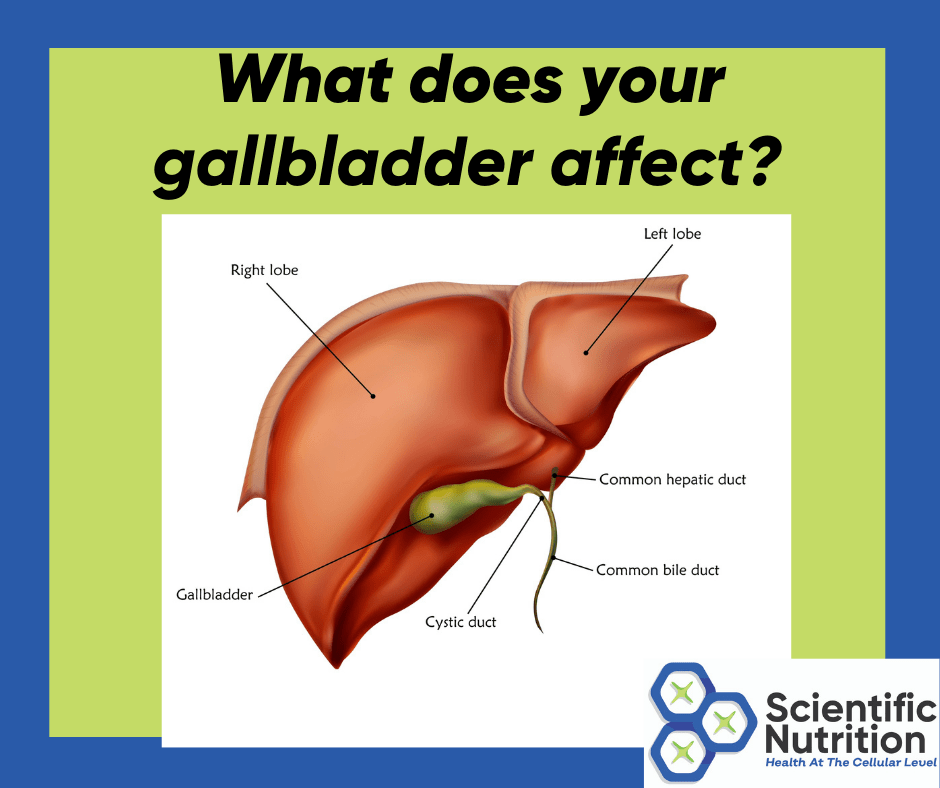 You are currently viewing Do you ever know what the gallbladder does and how it effects your health?