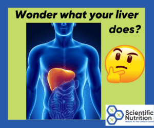 Read more about the article What your liver does and when to liver cleanse?
