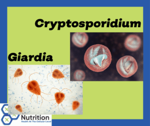 Giardia & cryptosporidium can cause serious illness!