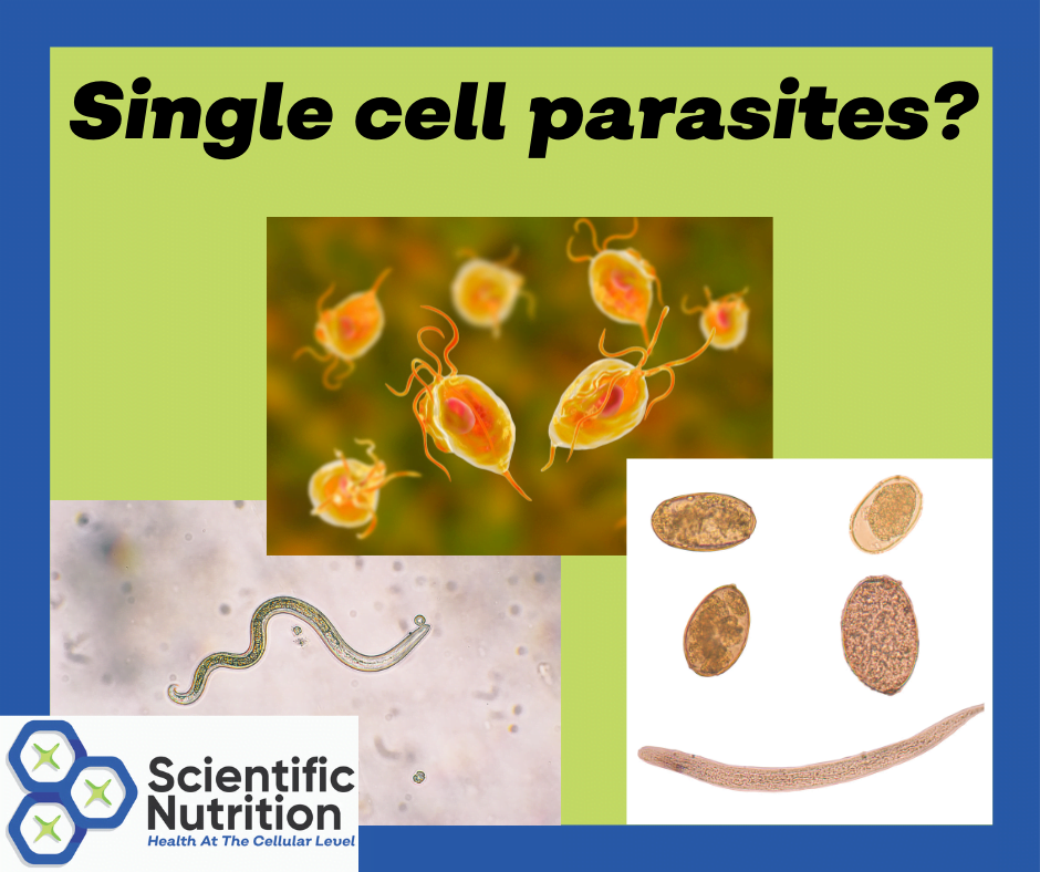You are currently viewing Do you have symptoms of parasites?