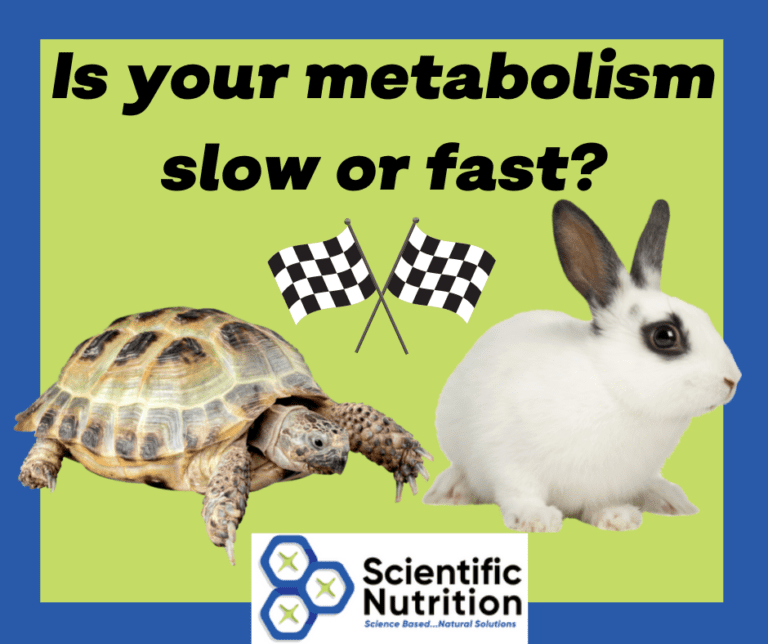 Do You Have A Fast Or Slow Metabolism Scientific Nutrition Hair Analysis do-you-have-a-fast-or-slow-metabolism-scientific-nutrition-hair-analysis
