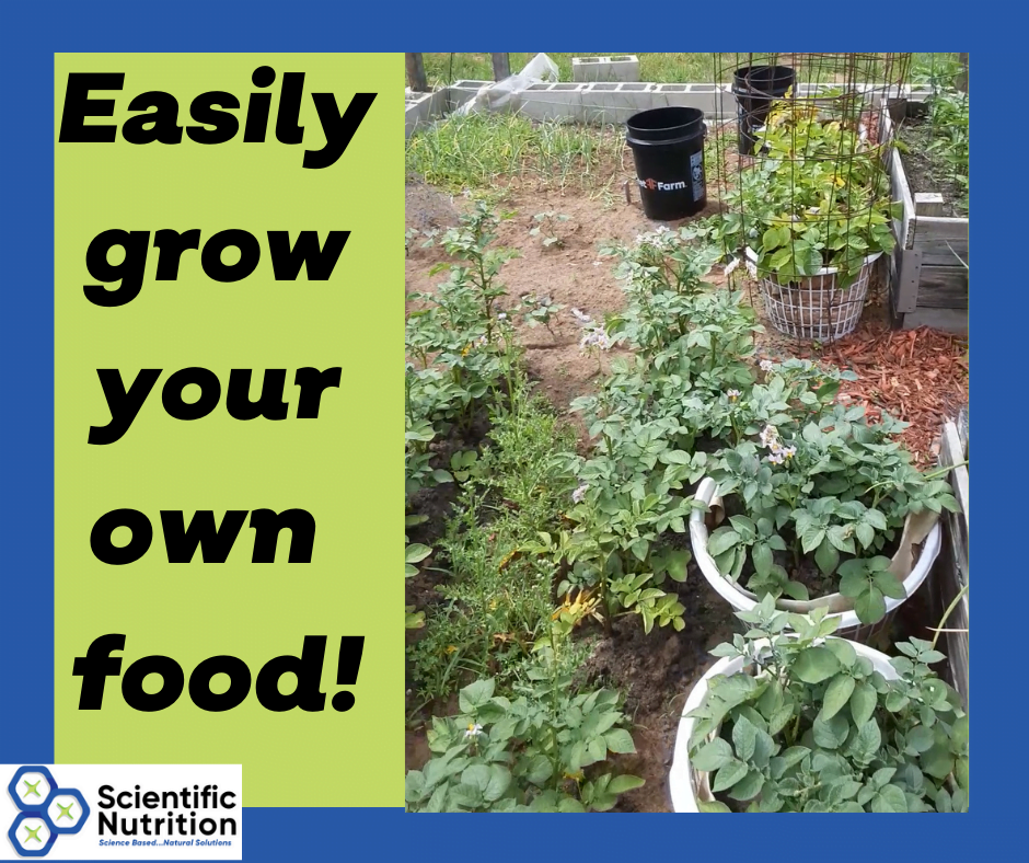 You are currently viewing How to easily grow your own food!