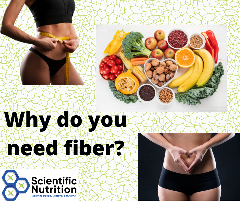 You are currently viewing Fiber, which is best and why?