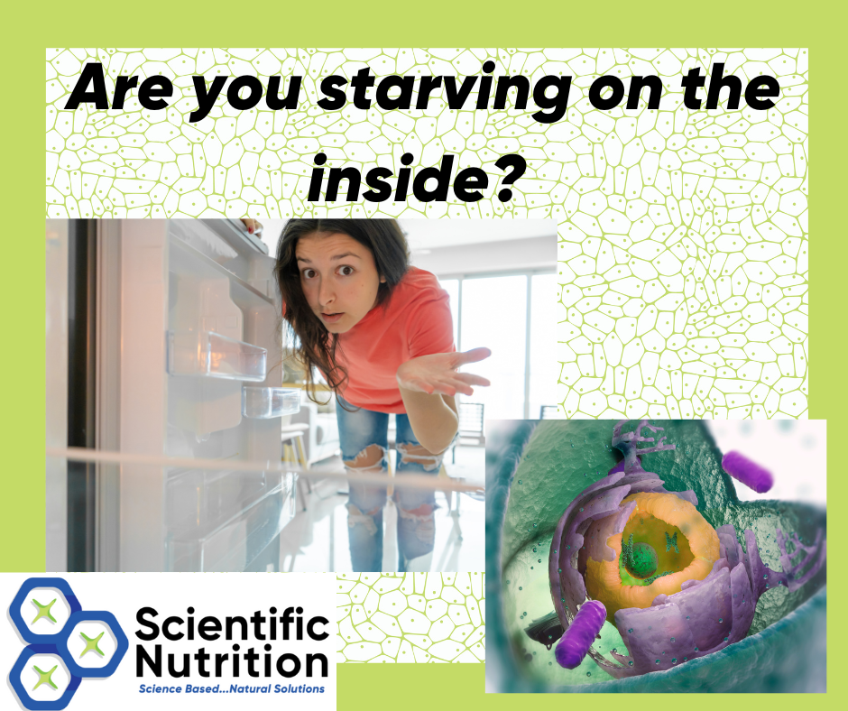 You are currently viewing Malnutrition; Cellular causes, effects, and prevention