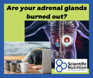 Read more about the article Managing Adrenal Burnout with Hair Analysis 