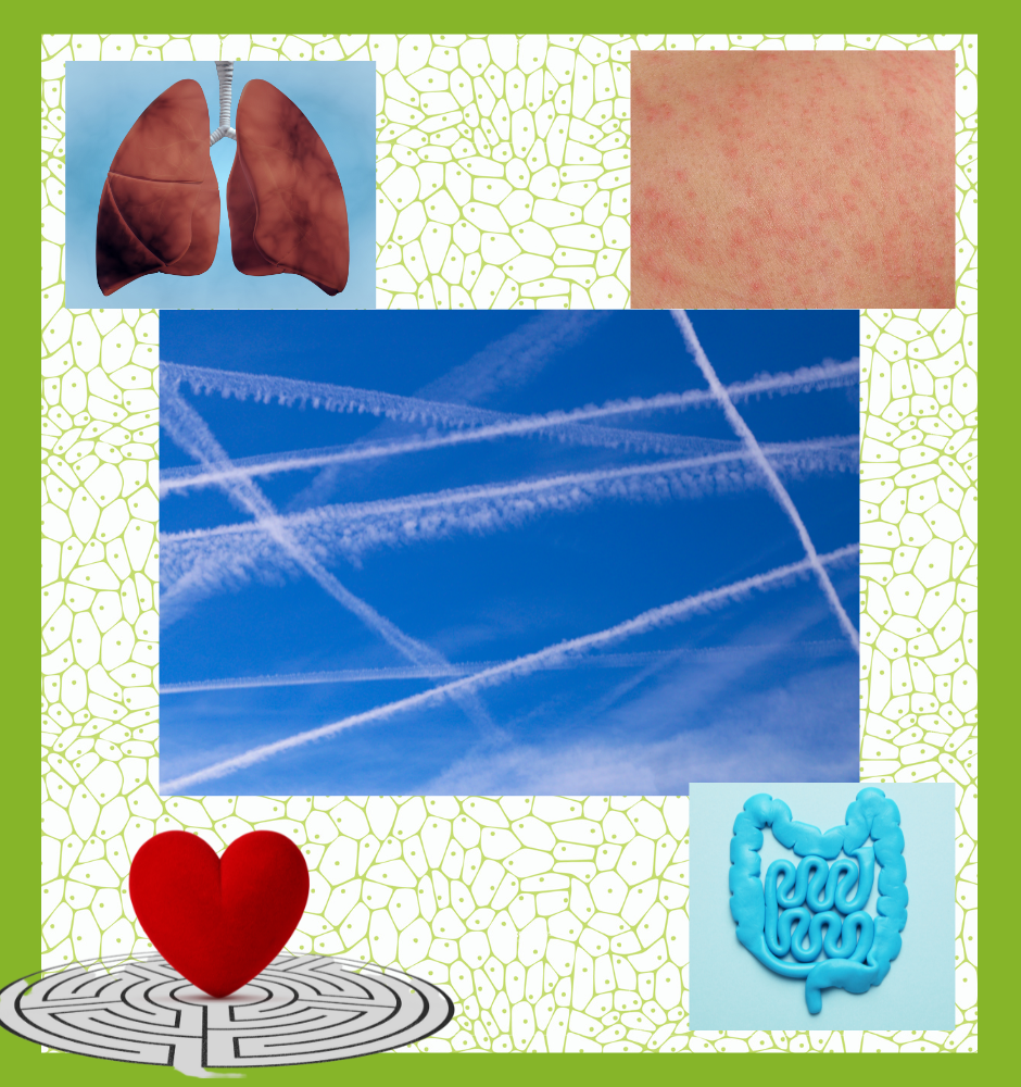 You are currently viewing Symptoms of Chemtrails Metals Toxicity in Human Health