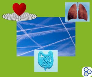 Read more about the article Symptoms of Chemtrails Metals Toxicity in Human Health