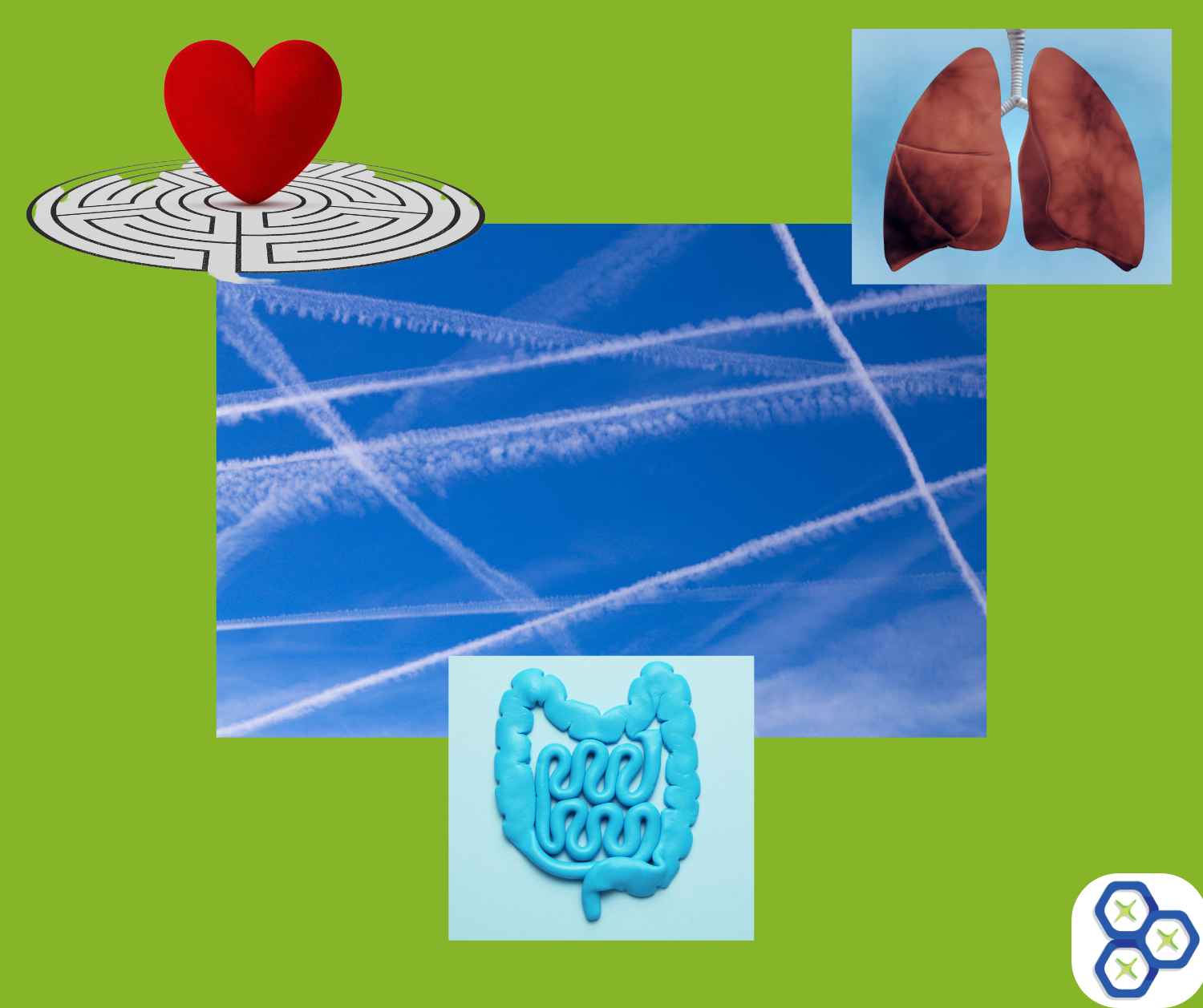 You are currently viewing Symptoms of Chemtrails Metals Toxicity in Human Health