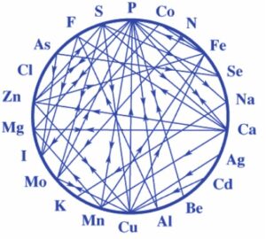 Do you know how your minerals interact with each other?