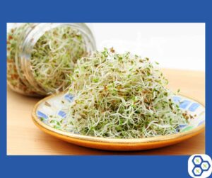 Read more about the article Energy-Boosting Sprouts: Nature’s Secret for Vitality