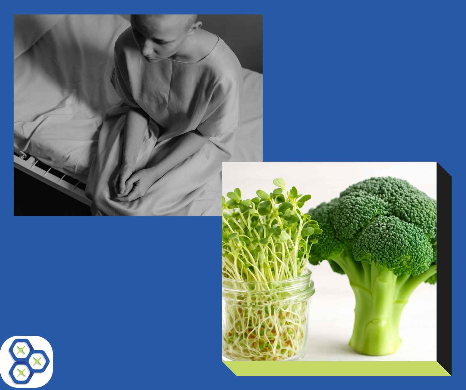 You are currently viewing Sulforaphane: Proven Health Benefits & Cancer Prevention Guide