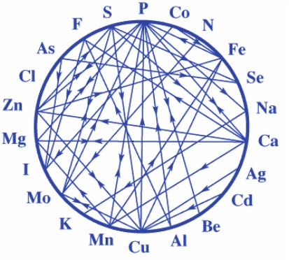 ARL Mineral Balancing Wheel for HTMA analysis, showing the inter-connectedness of nutrient elements and heavy metal toxicity, fact-checked by clinical protocols from Dr. Peter McCullough and Dr. Bryan Ardis.