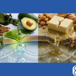 Healthy Fats for Brain Health: The Clinical Guide for Slow Oxidizers