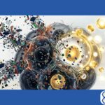 Is Your Home a Toxic Trap? Chronic Inflammation and Phthalates