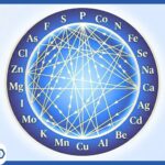 Mineral Balancing: The Definitive HTMA Guide to Ratios, Oxidation & Heavy Metals